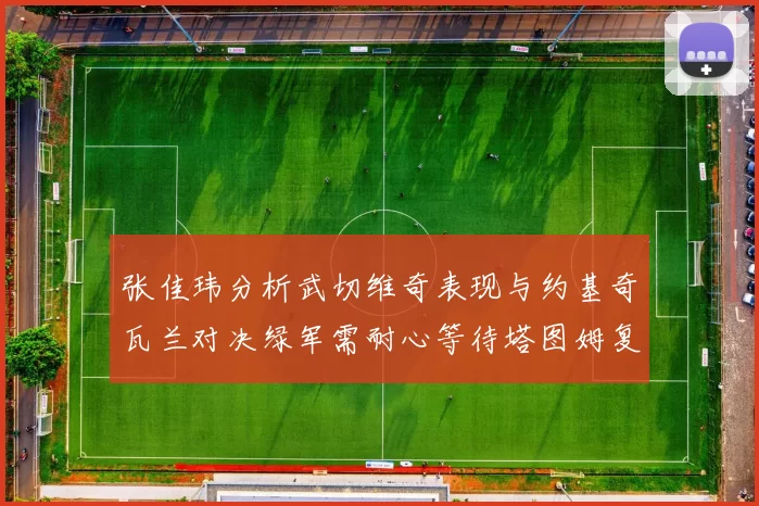 张佳玮分析武切维奇表现与约基奇瓦兰对决绿军需耐心等待塔图姆复出